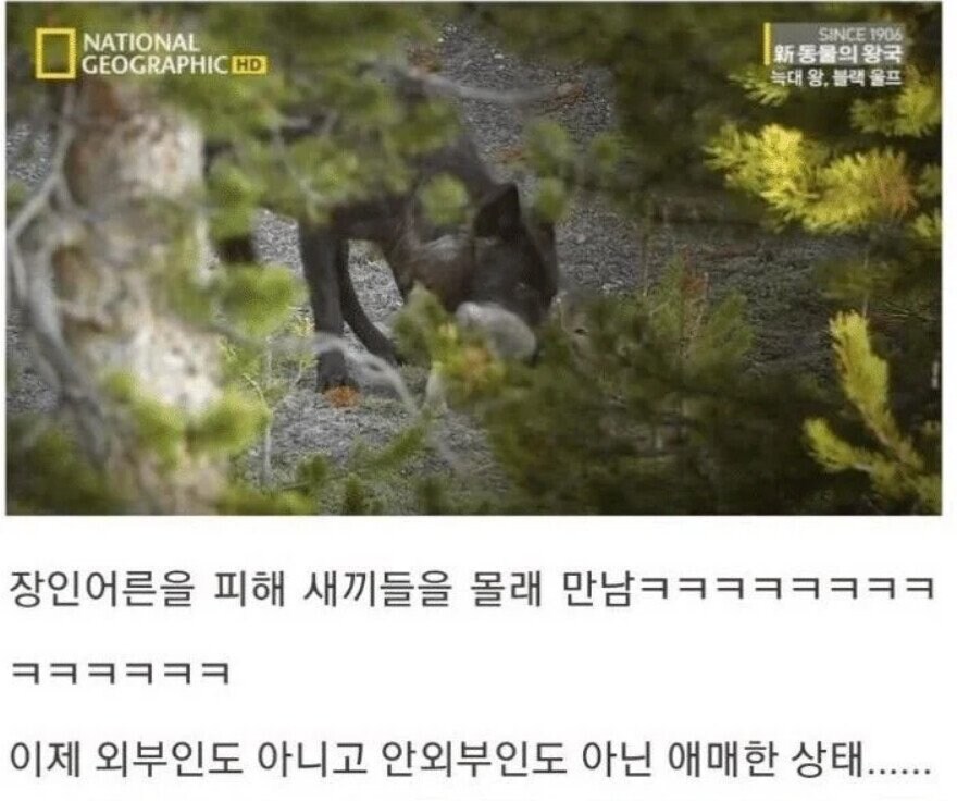 용기있는 자가 미인을 얻는다.jpg_30.jpg