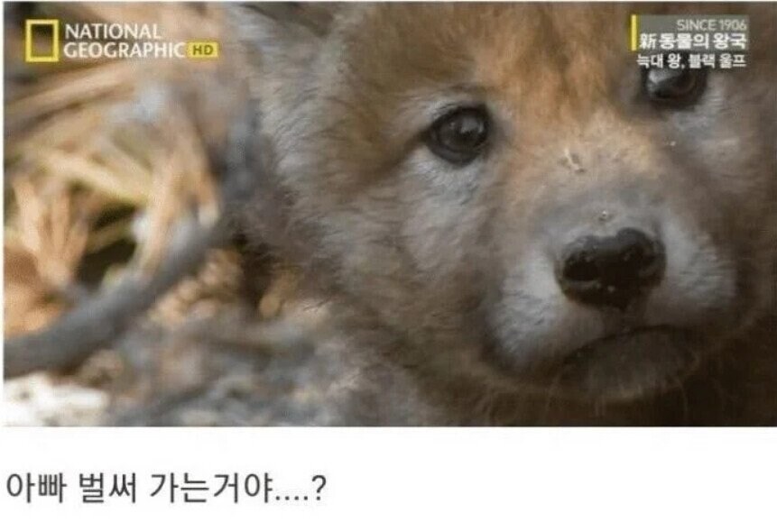 용기있는 자가 미인을 얻는다.jpg_31.jpg