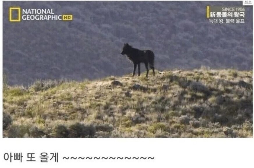 용기있는 자가 미인을 얻는다.jpg_32.jpg