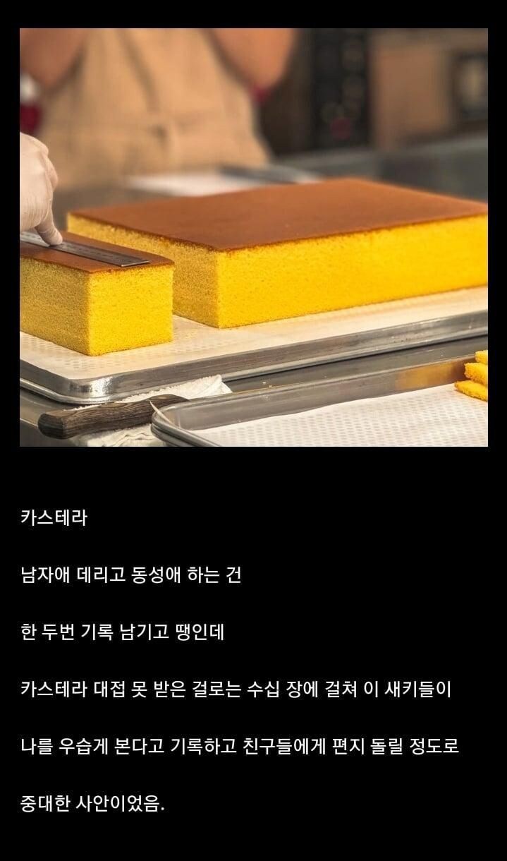 조선통신사가 의전상 극대노했던 것_1.jpg