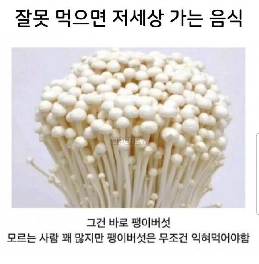 생으로 먹으면 의외로 아주 위험한 음식_2.jpg