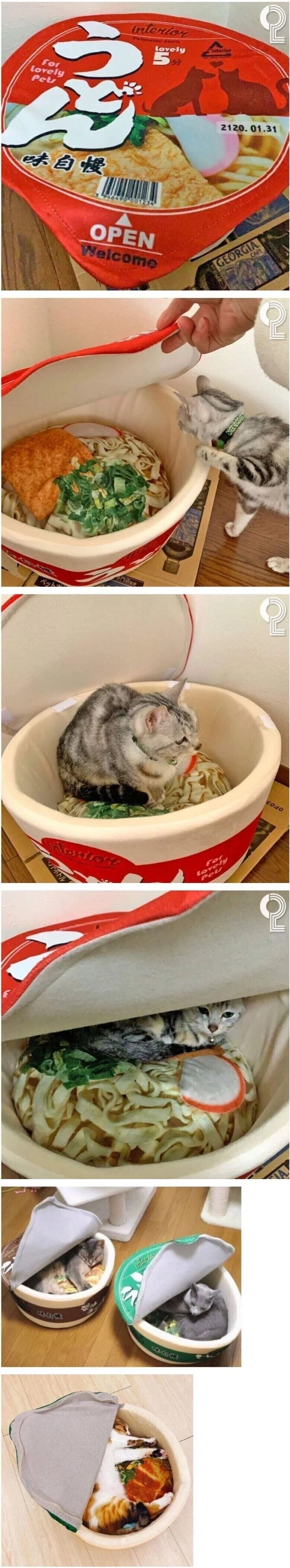 고양이 우동.jpg_1.jpg