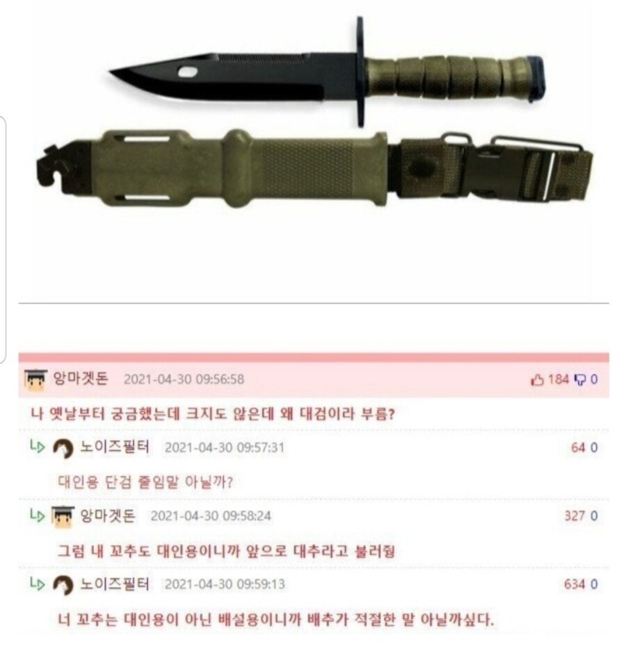 대검은 크지도 않은데 왜 대검이라고 부름?.jpg_1.jpg