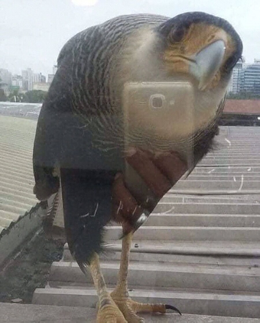 야, 얘 봐라 개웃기게 생김 ㅋㅋㅋㅋ_1.jpg