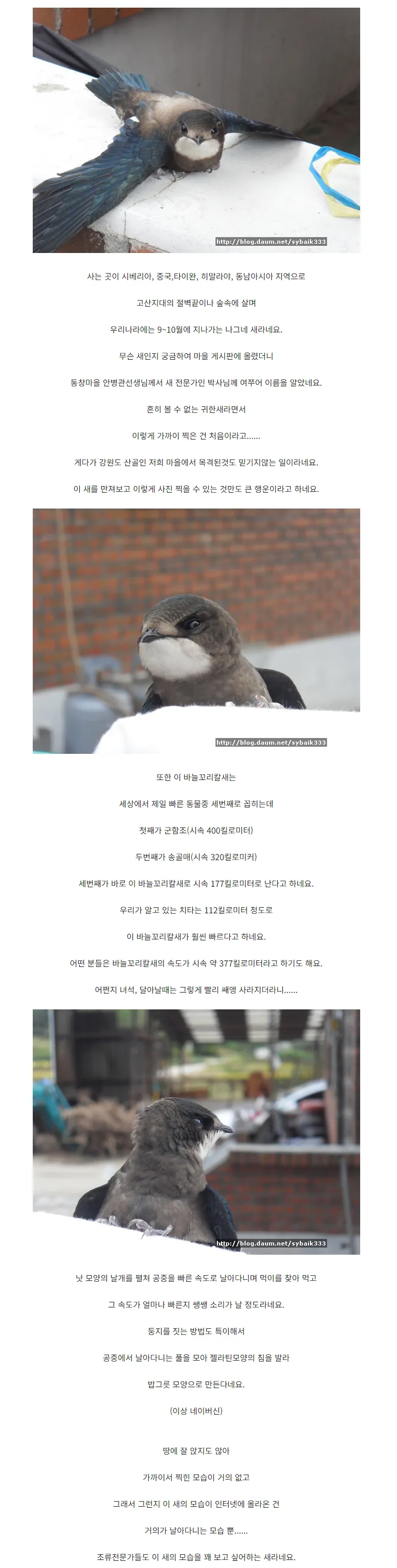 추석에 달을 찍었는데 아주 작게 무언가 찍혀있다._2.webp