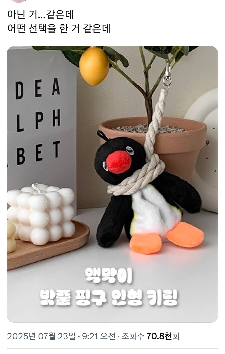 액막이 핑구_1.jpg