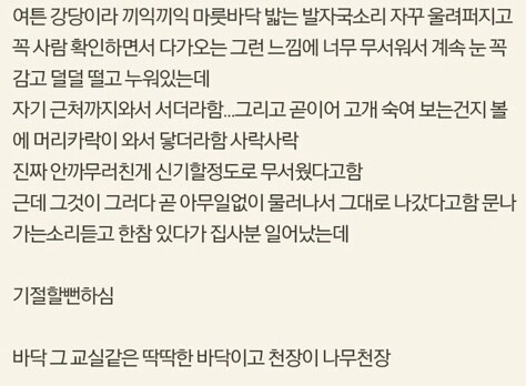 흔한 괴담 모음_5.jpg