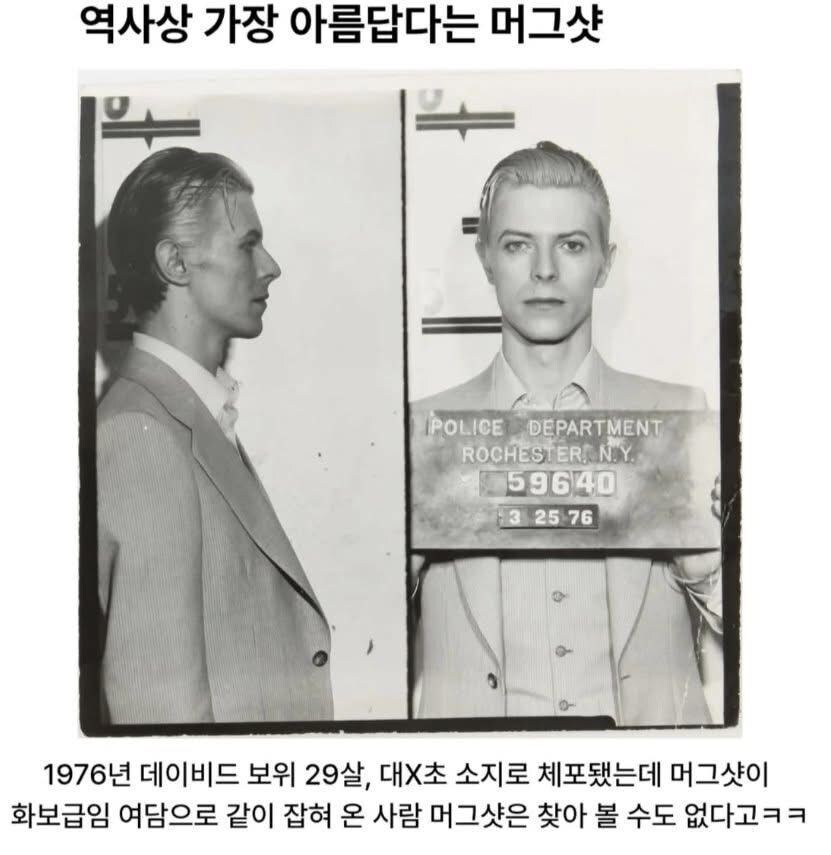 역사상 가장 아름다운 머그샷_1.jpg