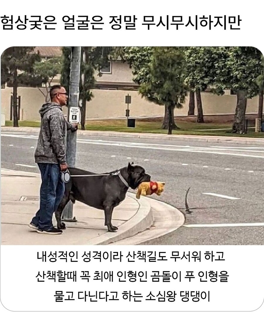 최애인형 = 봉인구_1.jpg