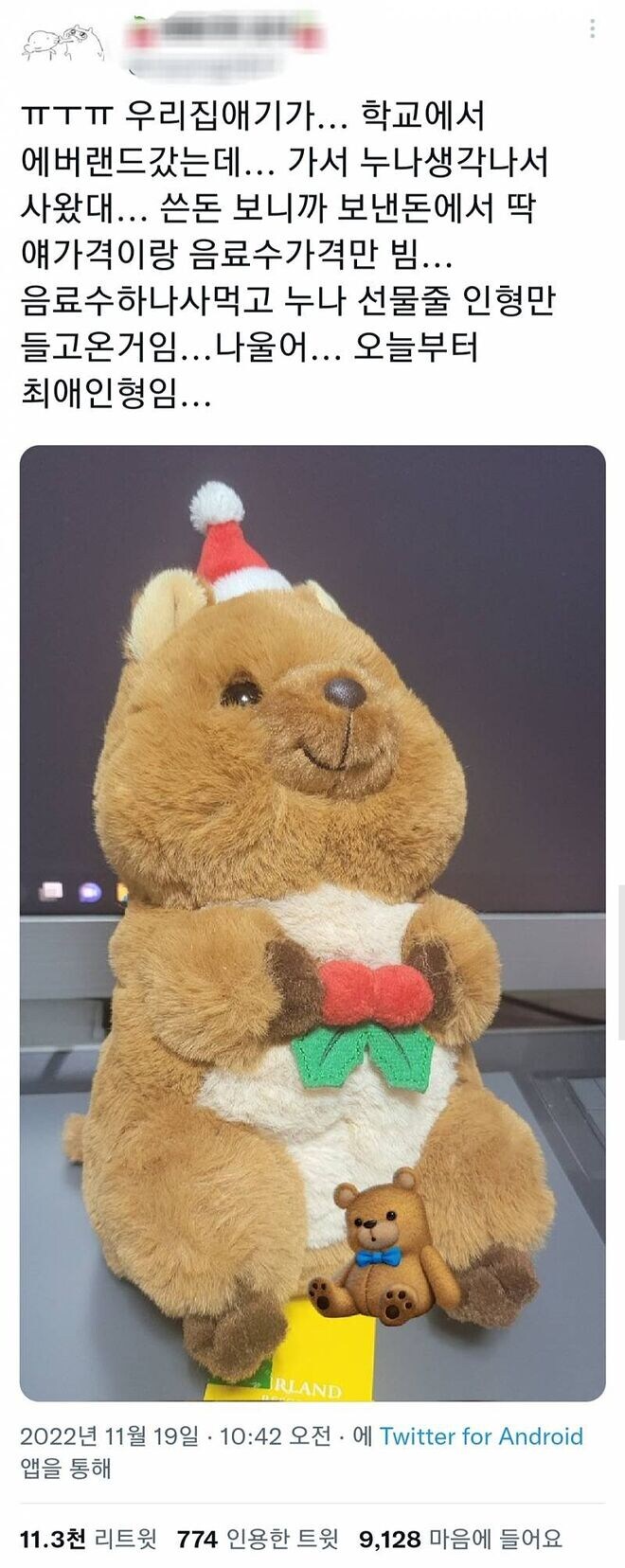 누나에게 줄 인형 사온 동생_1.jpg