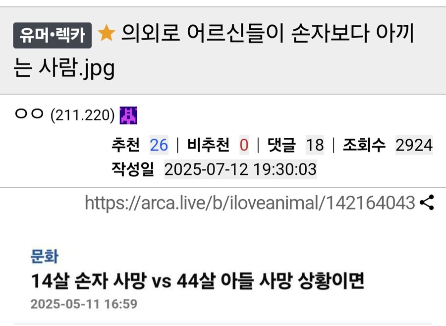의외로 어르신들이 손자보다 아끼는 사람.jpg_1.jpg