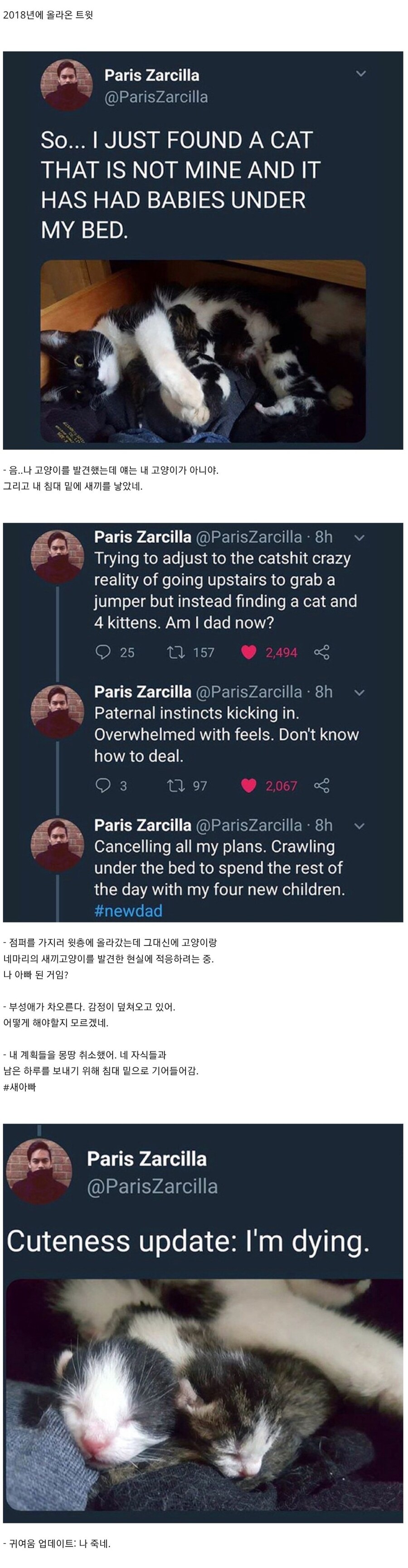 침대 아래 고양이를 발견한 남자.jpg_1.jpg