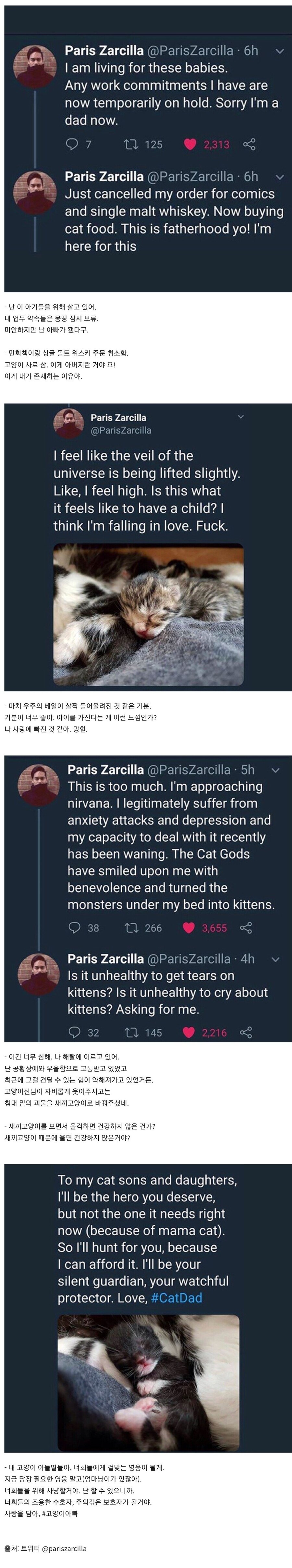 침대 아래 고양이를 발견한 남자.jpg_2.jpg