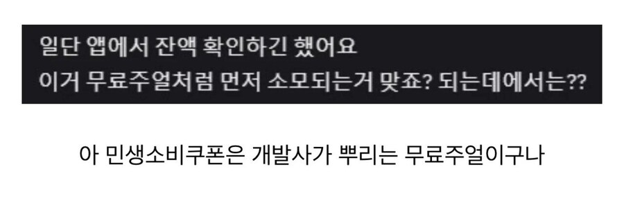 겜덕이 이해한 민생회복 소비쿠폰 개념_1.jpg