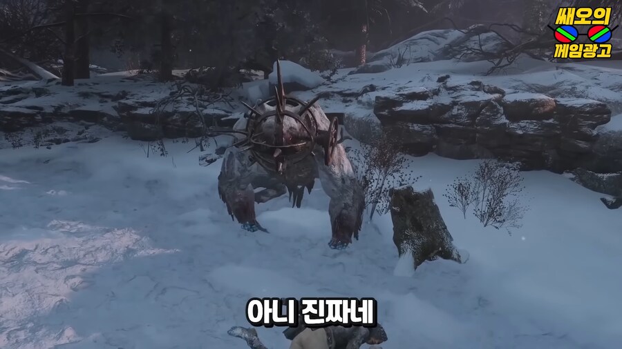 등산 중 이런 곰을 만났다면 이렇게 대처해야 삽니다._8.png
