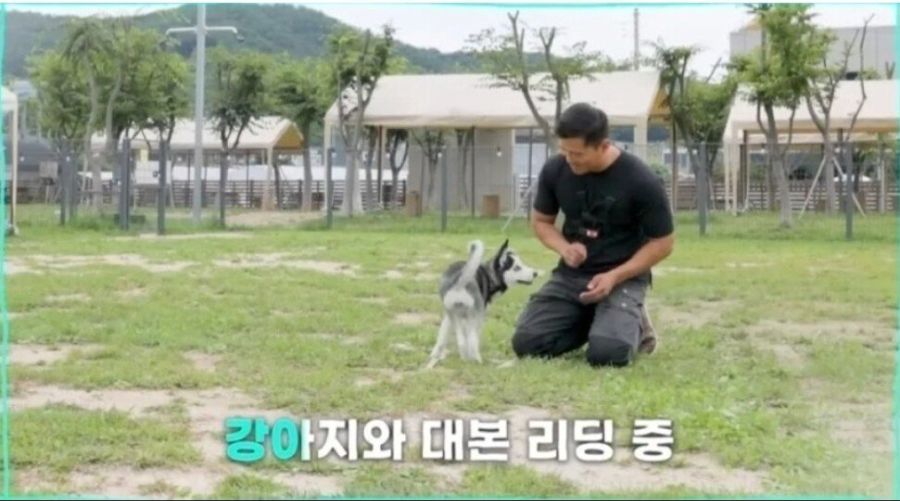 조작 방송의 강형욱이 복귀라니_1.jpg