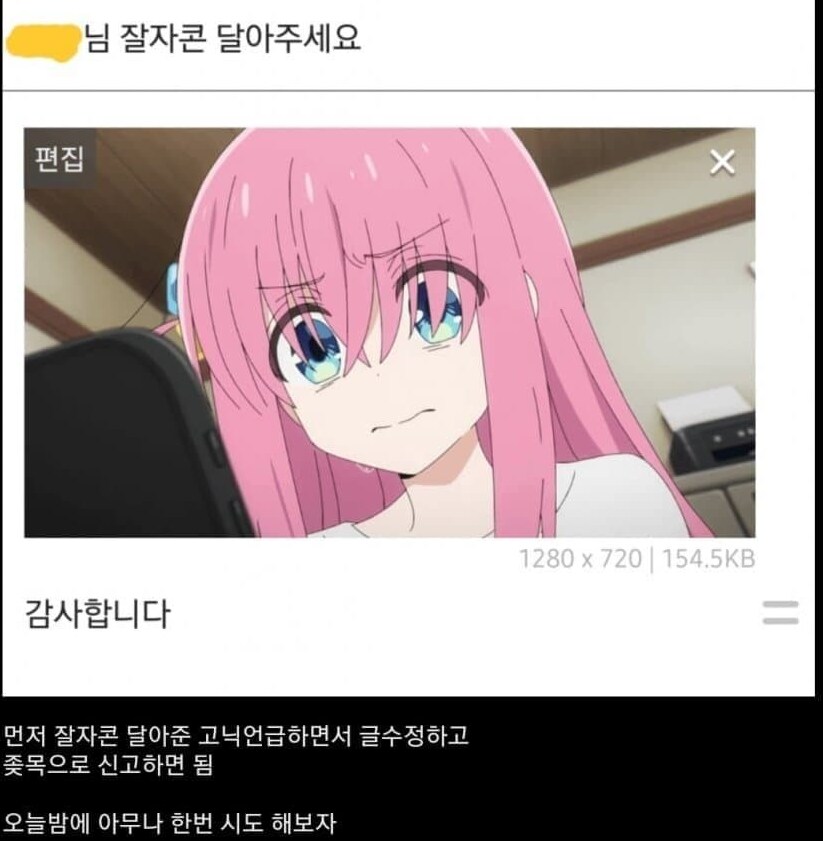 디시의 신박한 고닉 고로시 방법.jpg_3.png