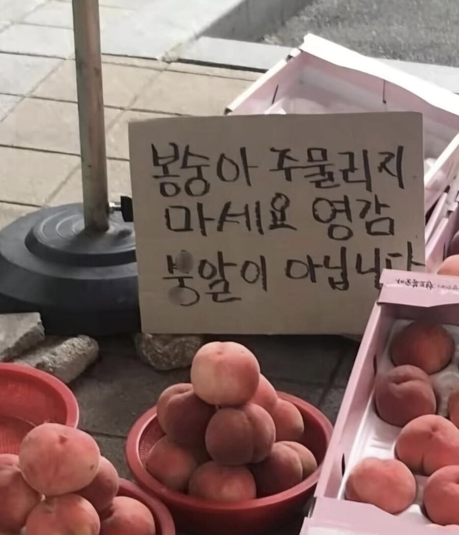 복숭아 장수 할머니가 화난 이유_1.jpg