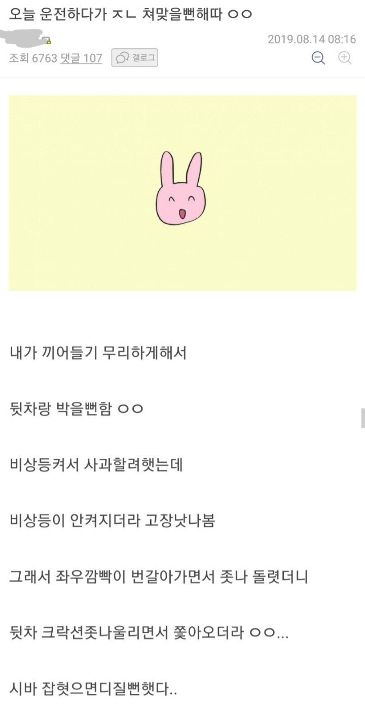 운전하다 칼치기하고 티배깅까지 함_1.jpg