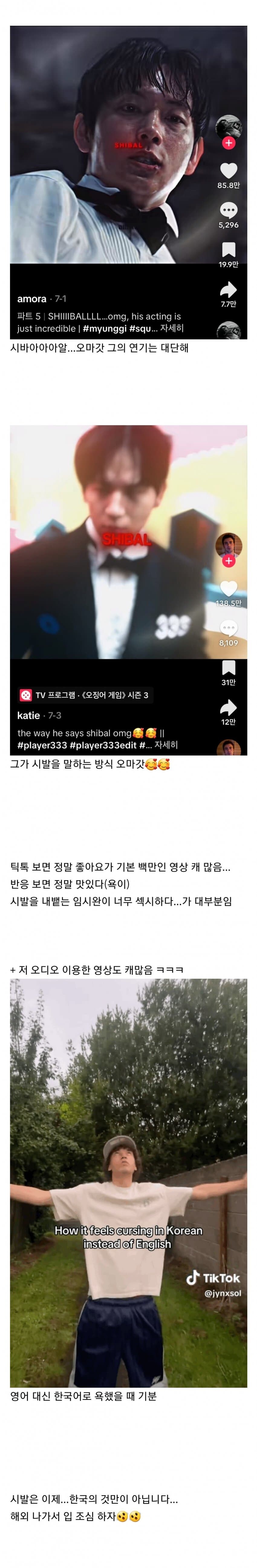 해외에서 핫한 본토의 시바루.jpg_2.jpg