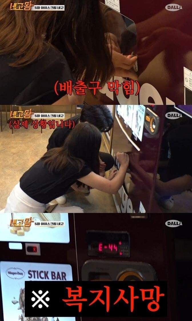 하겐다즈 회사 복지 수준.jpg_8.jpg