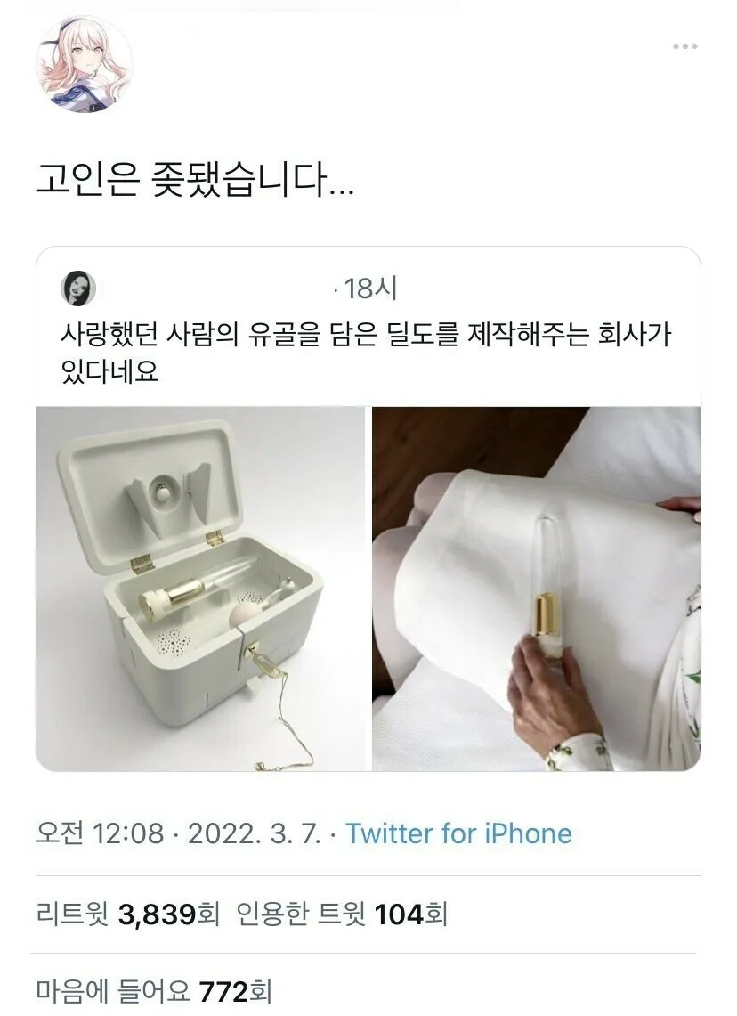 디씨식 딜도 평가.jpg_1.webp