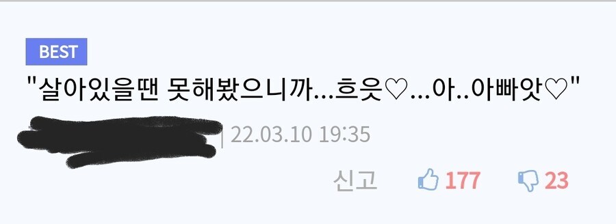 디씨식 딜도 평가.jpg_2.jpg