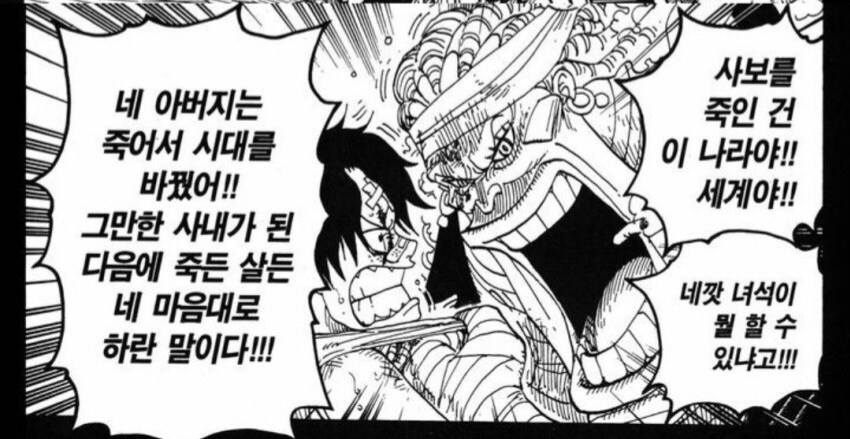 원피스 에이스의 운명이 갈렸던 순간_2.jpg