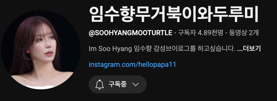 배우 임수향의 유튜브 채널명_1.png