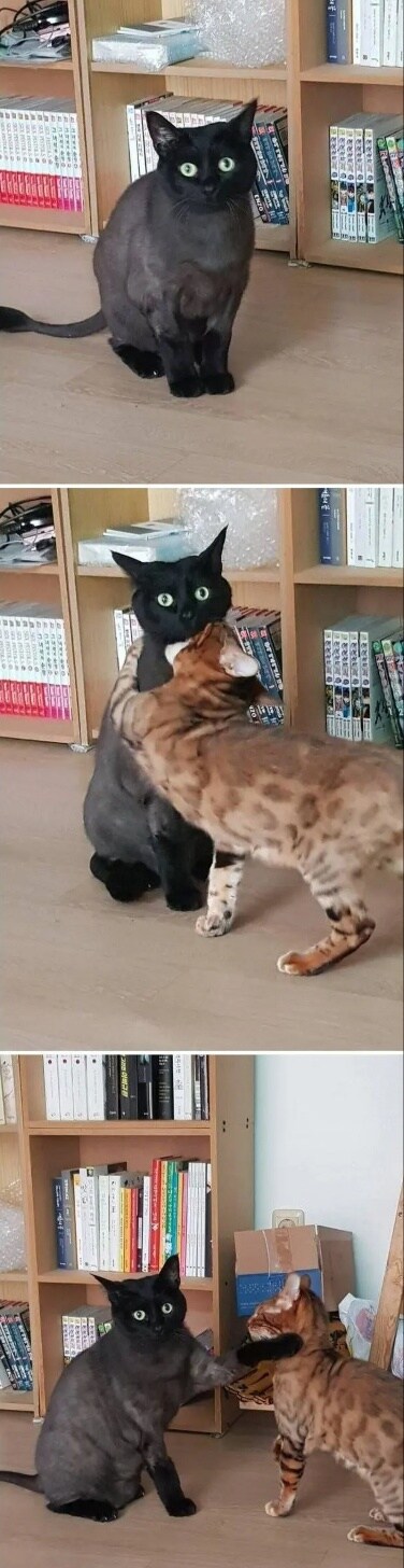 아니 니 지금 뭐라캤냐?_1.jpg