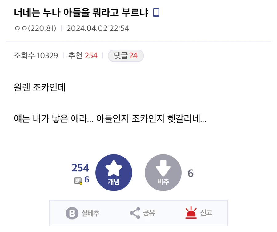 너네는 누나 아들을 뭐라고 부르냐._1.webp