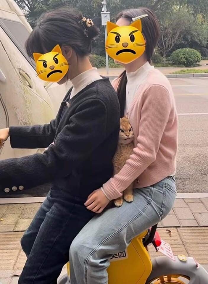 느오오오옷 그만두어라_1.jpg