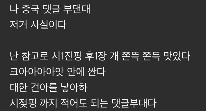 끔찍한 중국 댓글 부대_3.jpg