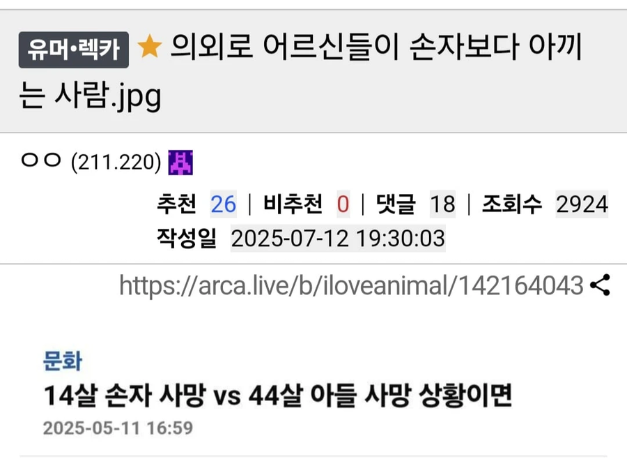 의외로 어르신들이 손자보다 아끼는 사람._1.webp