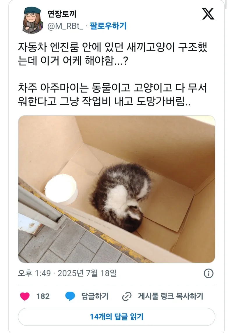 손님차 엔진룸에서 구한 아기 고양이를 강제로 맡게된 정비사_1.webp