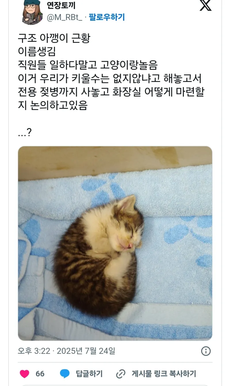 손님차 엔진룸에서 구한 아기 고양이를 강제로 맡게된 정비사_4.webp