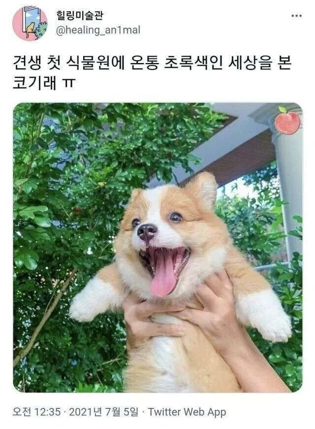 처음 식물원에 간 멍뭉이_1.png
