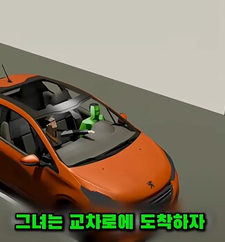 우회전인데 좌회전하라고 박박 우긴 여성_3.png