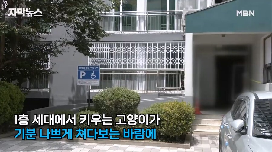 ??? : 고양이가 기분 나쁘게 쳐다봐_7.jpg