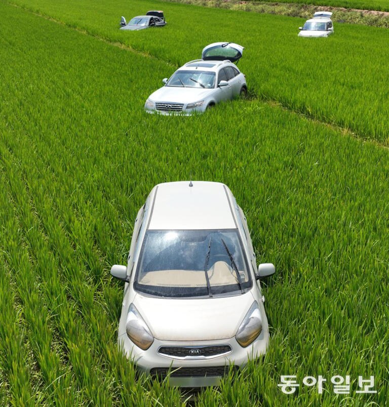 AI 아님) 차가 자라는 논밭_1.png