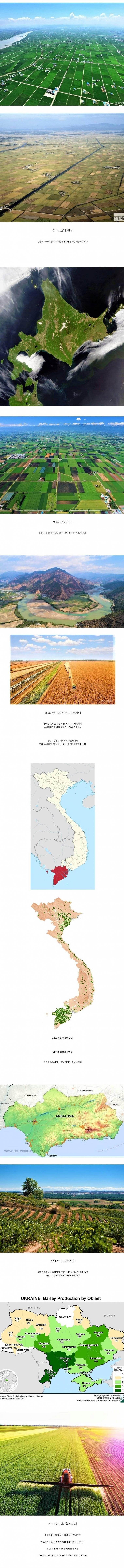 세계 여러 나라의 곡창지대 .jpg_1.png