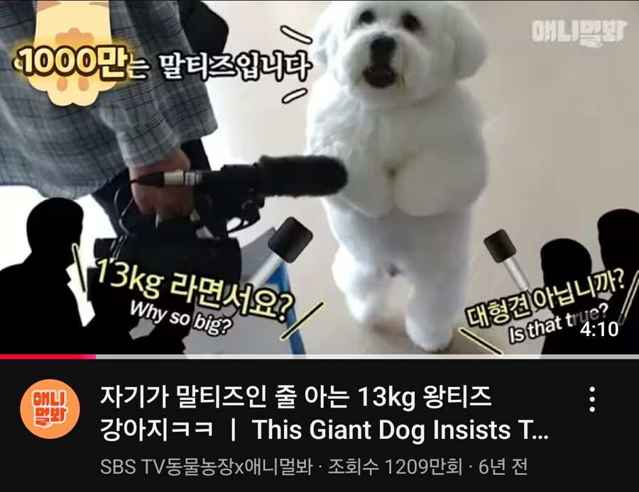 왕크니까 왕귀여운_1.jpg