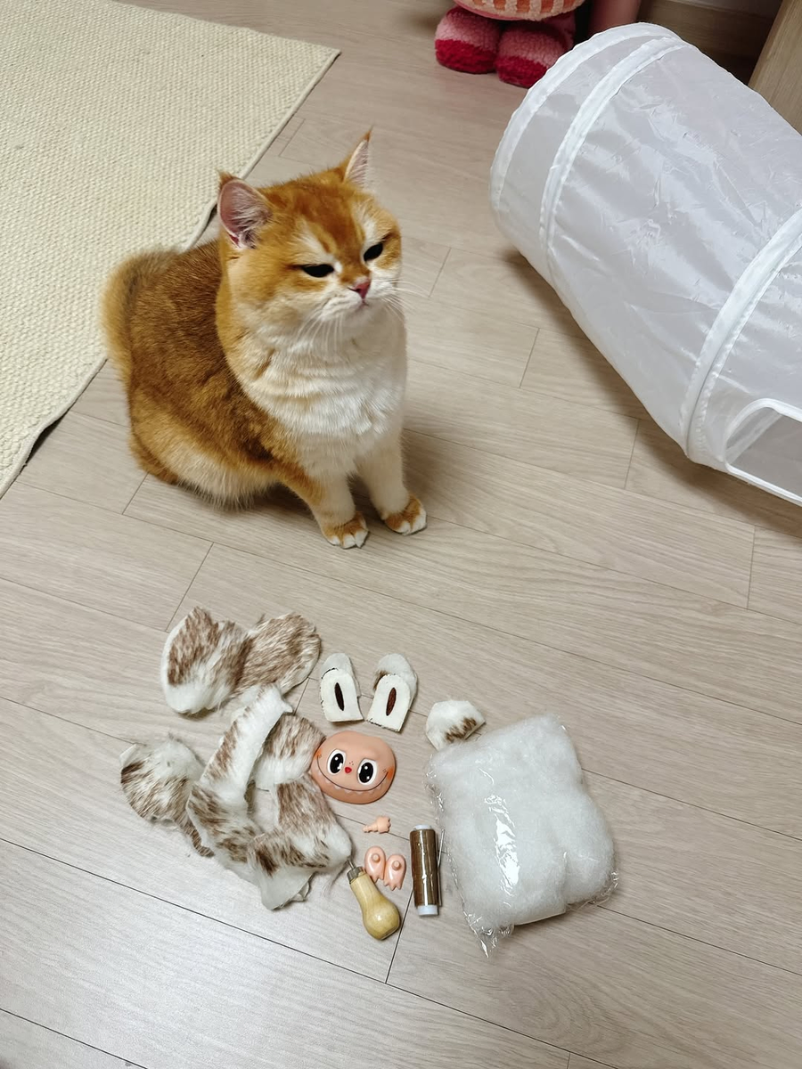 알리에서 라부부 산 사람 후기_1.webp