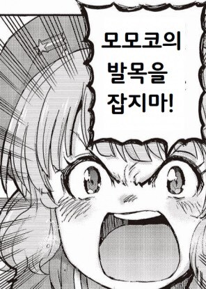 음해) 실제와 다른 정보들_5.jpg
