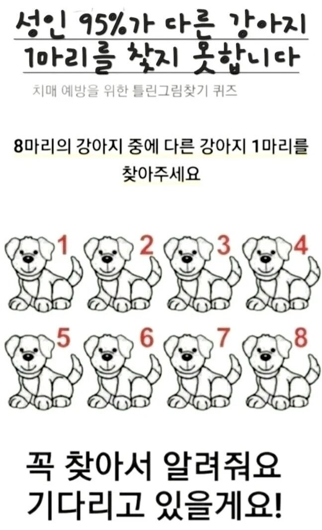 치매 예방 틀린그림찾기_1.jpg
