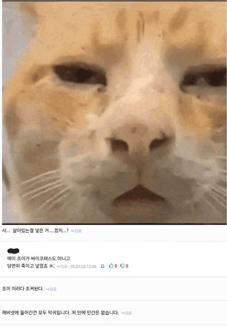케이팝) 어느 디시인이 분석한 조이의 캐비넷 씬_2.jpg