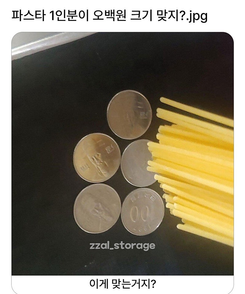 파스타 1인분이 500원 크기 맞지??_1.jpg