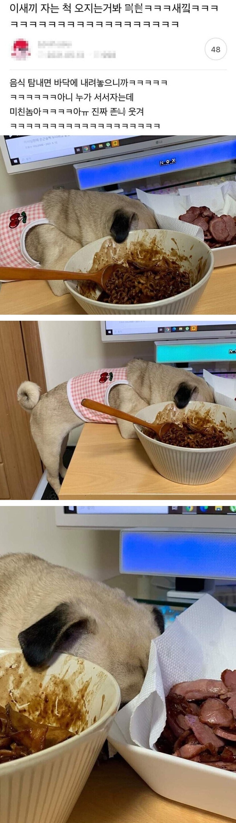 음식 앞에서 자는 척하는 댕댕이.jpg_1.jpg
