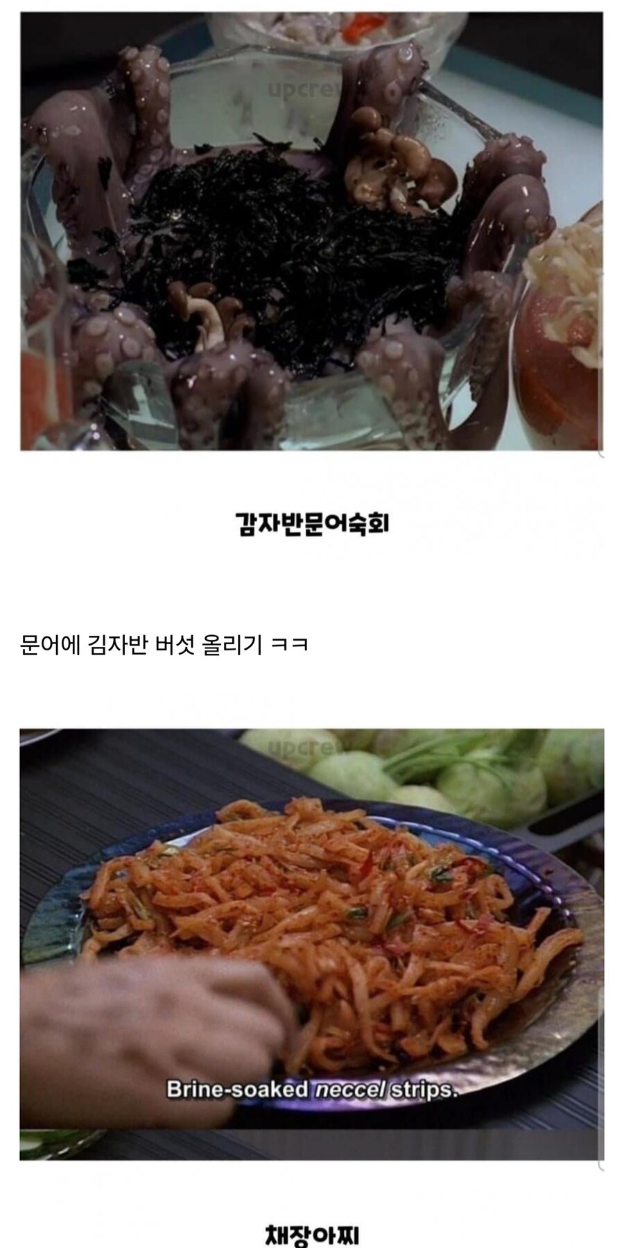 외계인들이 먹는 음식의 충격적 사실...JPG_3.jpg