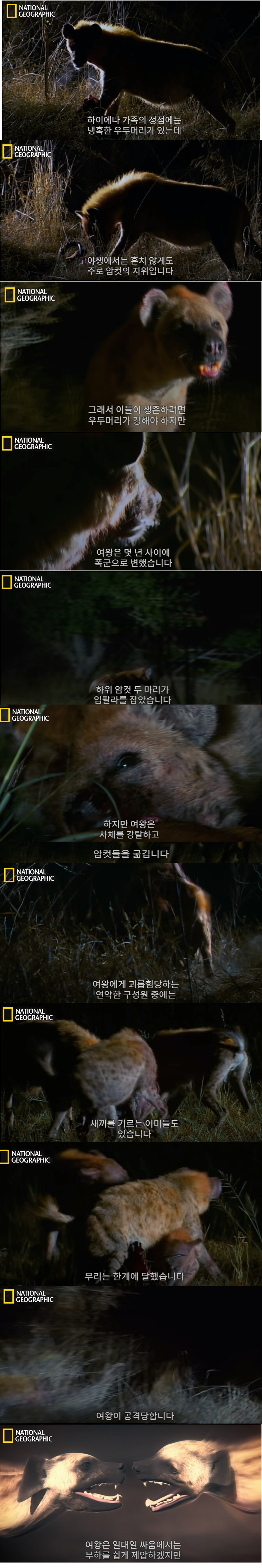 적당히 갑질 해야하는 이유.jpg_1.png